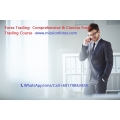 Forex Trading - Comprehensive & Concise Forex Trading Course